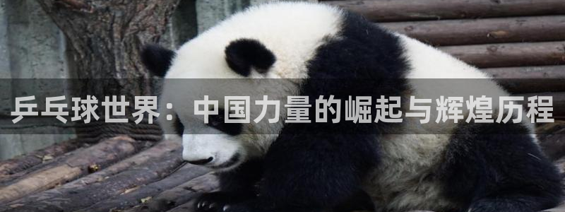  k1体育手机官网入口网址：乒乓球世界：中国力量的崛起与辉煌历