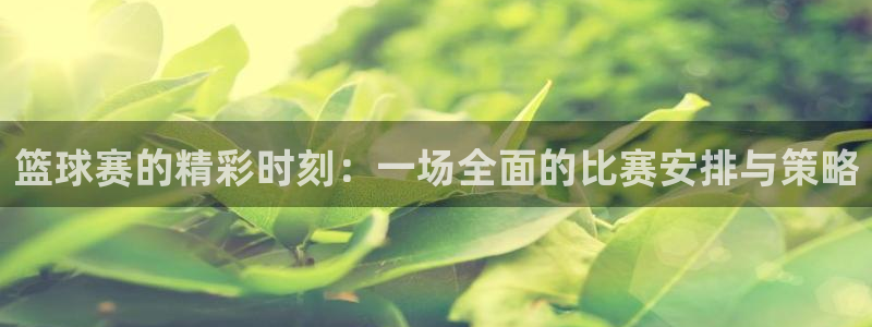 k1体育app：篮球赛的精彩时刻：一场全面的比赛安排与策略