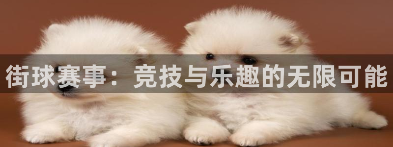 K1体育登录入口网页版：街球赛事：竞技与乐趣的无限可能