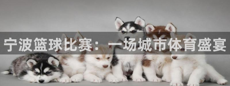  k1体育som：宁波篮球比赛：一场城市体育盛宴