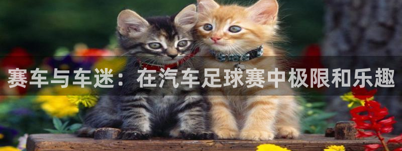  K1体育下载app3519：赛车与车迷：在汽车足球赛中极限和