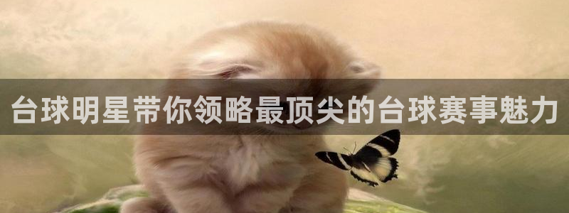 k1俱乐部有哪些运动员：台球明星带你领略最顶尖的台球赛事魅力