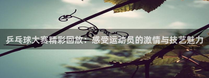 k1体育十年品牌值得信赖入口：乒乓球大赛精彩回放：感受运动员