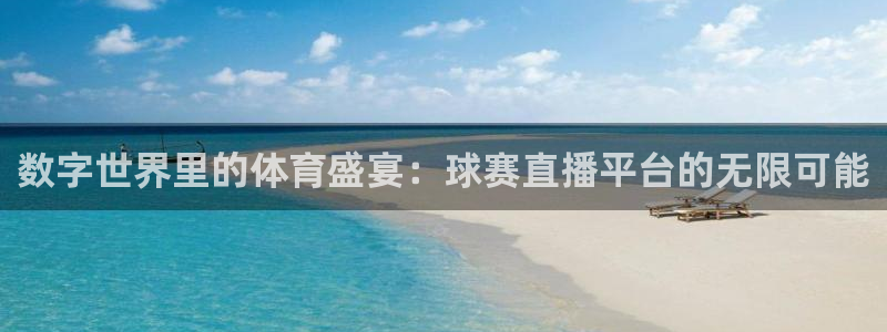 K1体育-十年品牌 值得信赖：数字世界里的体育盛宴：球赛直播