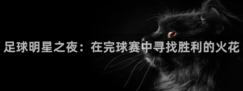  k1俱乐部头像：足球明星之夜：在完球赛中寻找胜利的火花