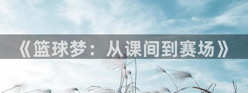  体育k12是什么意思啊：《篮球梦：从课间到赛场》