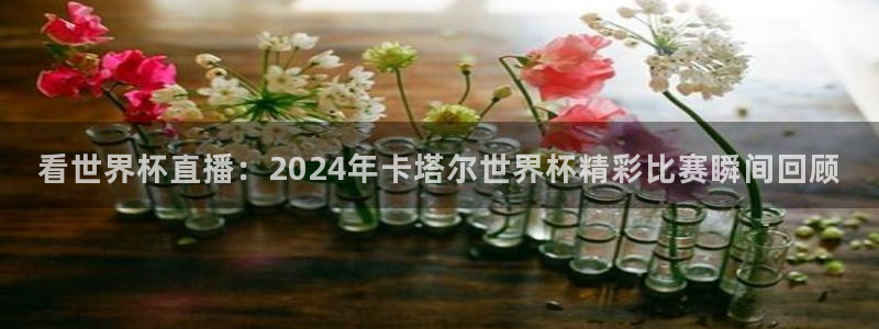 体育k1是啥意思：看世界杯直播：2024年卡塔尔世界杯精彩比