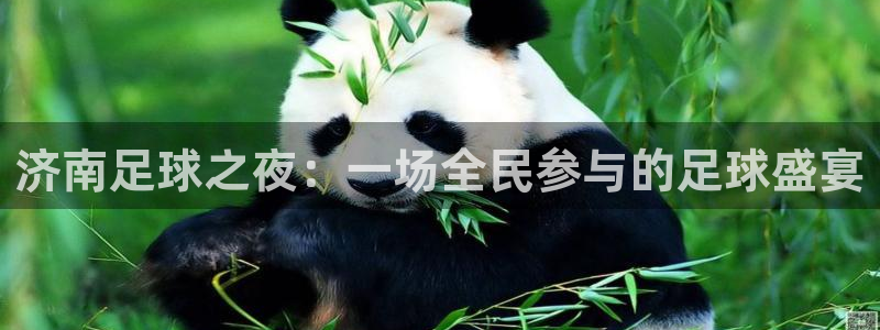 k1体育平台：济南足球之夜：一场全民参与的足球盛宴